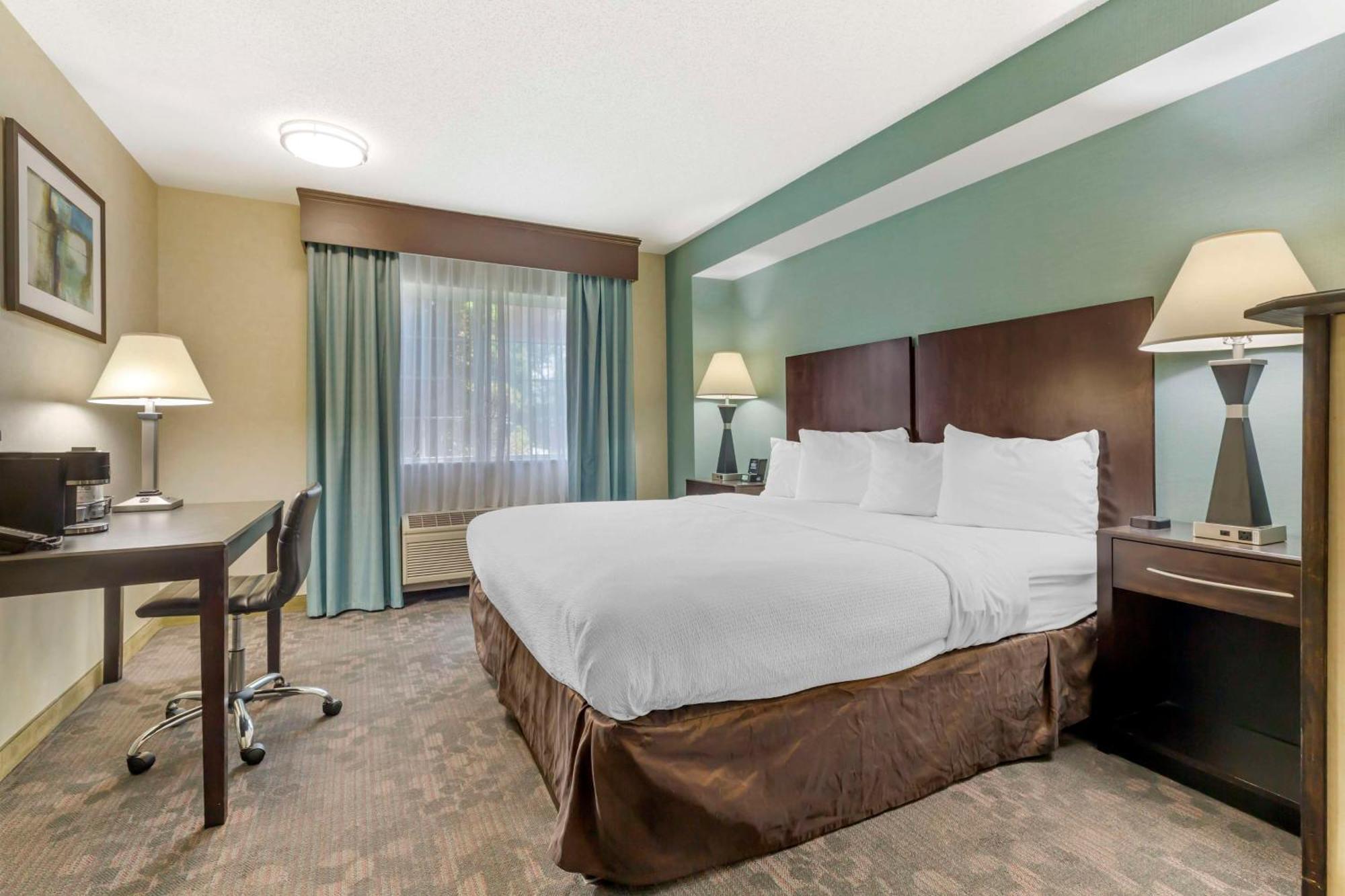 Best Western Plus Berkshire Hills Inn & Suites Питсфилд Экстерьер фото